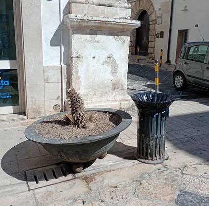 Fioriere 1