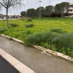 FB_IMG_1770918174817