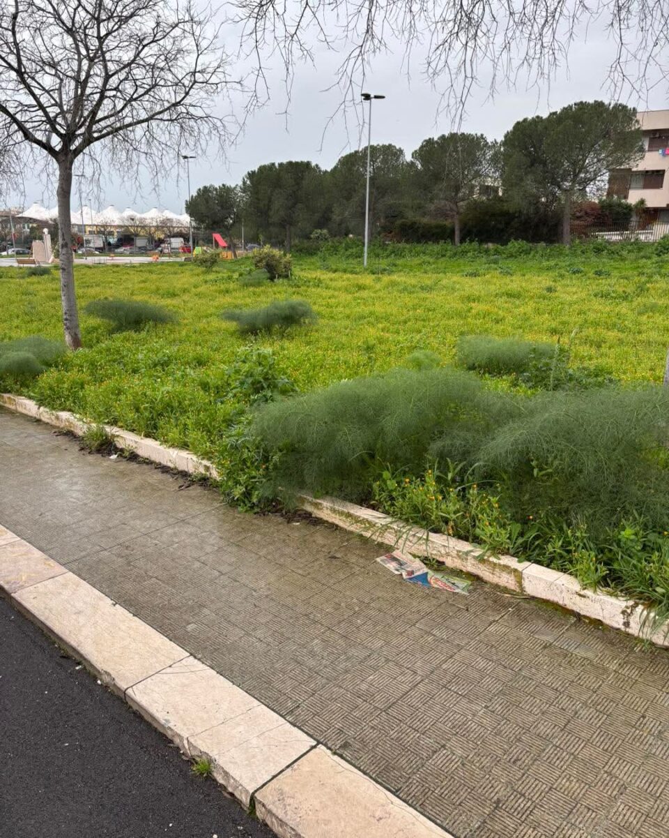 FB_IMG_1770918174817