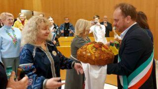 FB_IMG_1771402060237