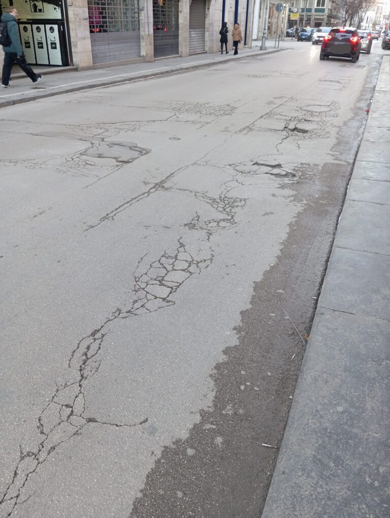 IMG-20260214-WA0029(1)