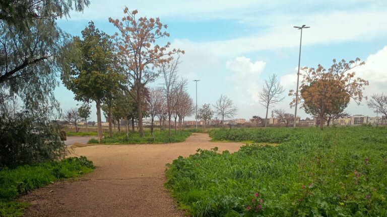 IMG-20260225-WA0038(1)