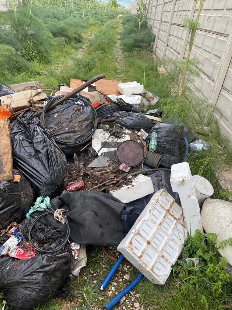 654432651_3446893248797775_6945743478163345232_n