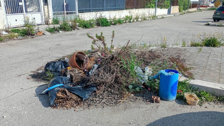 656249454_3448016612018772_7188146032111588969_n