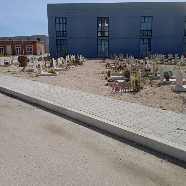 FB_IMG_1774462286058