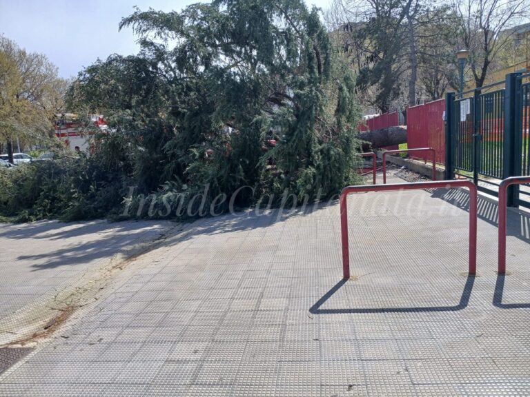 IMG_20260326_160311_167