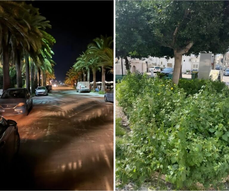 Screenshot_20260314_141131_Facebook(1)