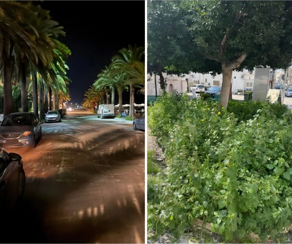 Screenshot_20260314_141131_Facebook(1)