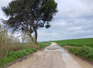 Screenshot_20260328_173528_Gmail