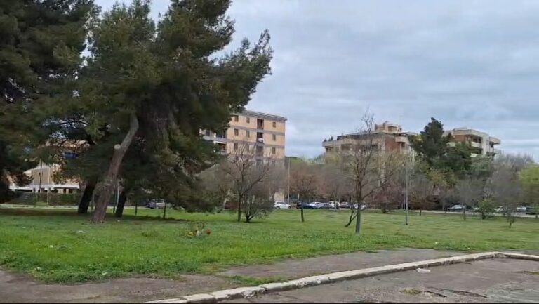 VID-20260325-WA0017(1)