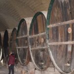 WhatsApp Image 2026-03-30 at 10.37.40 (1)