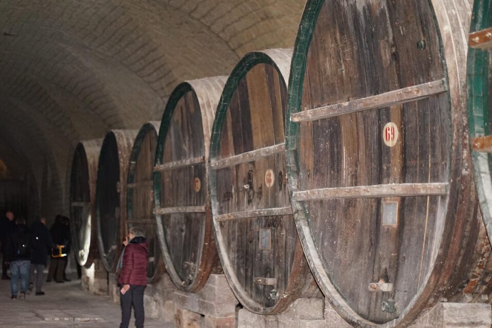 WhatsApp Image 2026-03-30 at 10.37.40 (1)