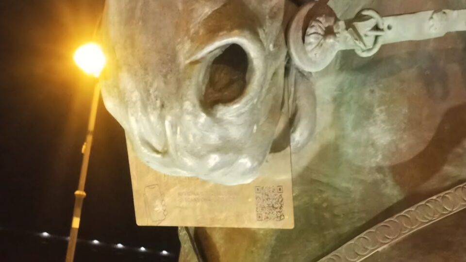 FB_IMG_1775396203323(1)