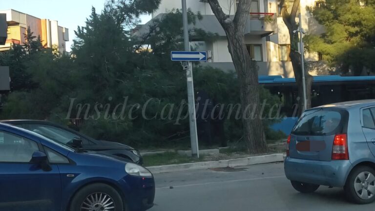 IMG-20260404-WA0208(1)(1)