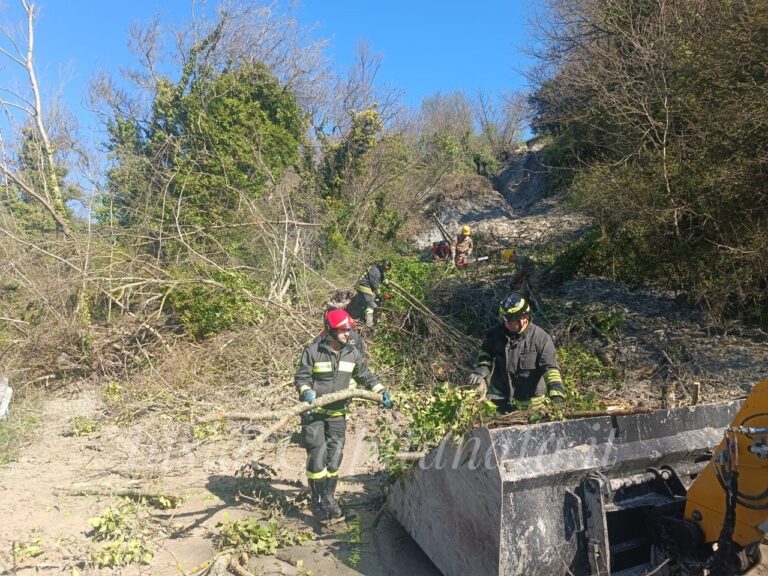 IMG_20260406_112115_321