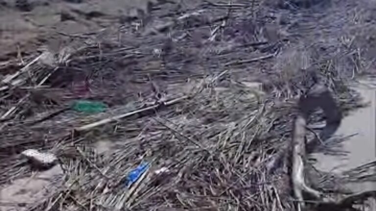 Screenshot_20260411_094120_Facebook(1)