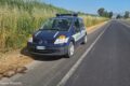 Manfredonia, Manzella: "Trovato tasso morto sulla SP 141"