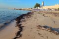 Spiaggia libera “Castello” di Manfredonia: Marasco denuncia degrado e sicurezza