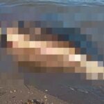 IMG-20260624-WA0131