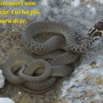 IMG-20260710-WA0010