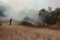 Manfredonia, incendio di sterpaglie e pineta a Siponto: in azione i Vigili del Fuoco