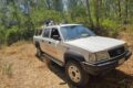 Foggia, incendio nel Bosco dell'Incoronata: intervento CIVILIS-Marconi, rogo domato