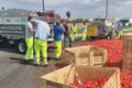 Foggia, casse di pomodori sulla Orbitale: intervento di Amiu Puglia