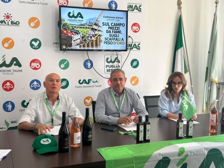 CONF STAMPA 02