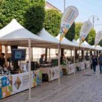 fiera-dattobre-san-nicandro-garganico-20092026