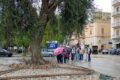 Manfredonia, Marasco non molla: chiede il terminal bus in piazza Marconi