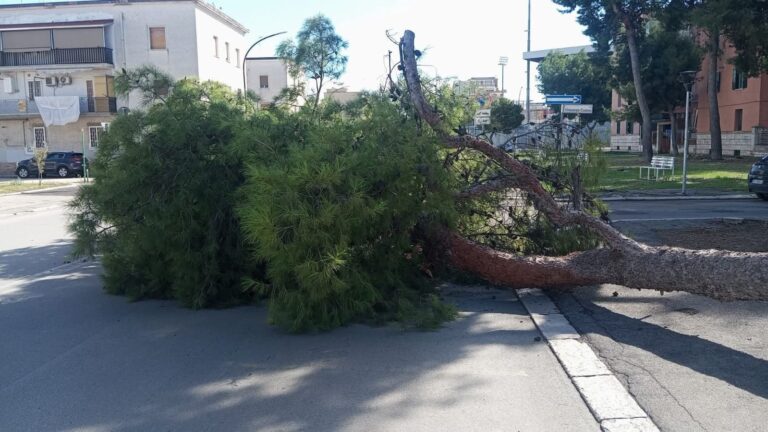 IMG-20261014-WA0022