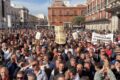 Capitanata, Orgoglio Olivicolo chiede l’attivazione del DAO